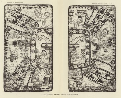Bacab Codex Cortesianus diagram alkotó: American School