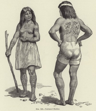Tattooed Haidas alkotó: American School