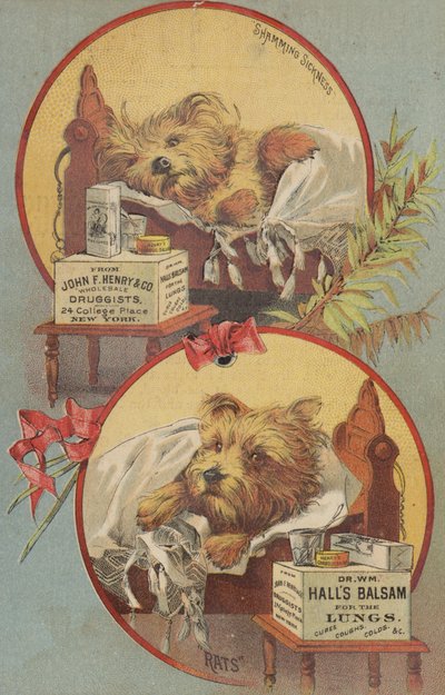 Terrier Kutya Az ágyban alkotó: American School