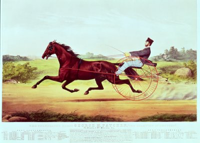 Az ünnepelt ló, George M. Patchen, A gyep bajnoka, vésette Nathaniel Currier (1813-88) és James Merritt Ives (1824-95), 1860 alkotó: American School