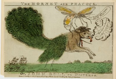 The Hornet and Peacock, vagy, John Bull in distress, 1813 (metszet metszet) alkotó: American School