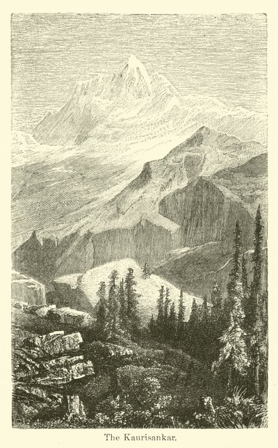 A Kaurisankar alkotó: American School