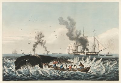 The Whale Fishery - Attacking a "Right" bálna és a "Cutting In", pub. 1860 (színes litó) alkotó: American School
