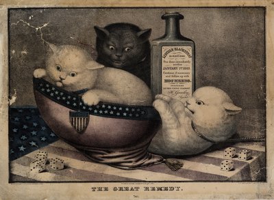 A nagyszerű gyógymód, az E.B. és E.C. Kellogg, Hartford Ct., és Phelps and Watson, New York, és F.P. Whiting, New York, kb. 1863 alkotó: American School