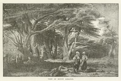 Kilátás a Libanon-hegyre alkotó: American School