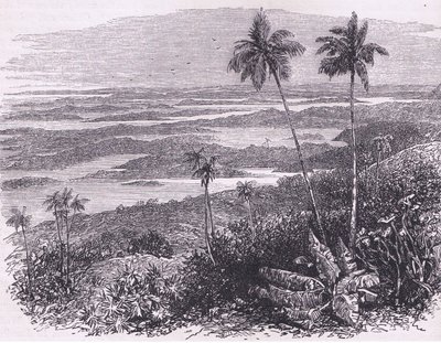 Kilátás a Bermudákra, illusztráció Cassell története az Egyesült Államok pubjából. készítette: Petter & Galpin 1890 körül (litho) alkotó: American School