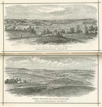 Kilátás a nebraskai tájra alkotó: American School