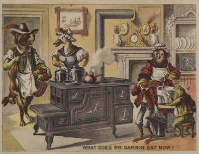 Mit mond most Darwin úr? (chromolitho) alkotó: American School