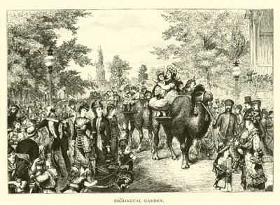 Állatkert alkotó: American School