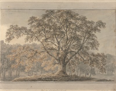Kilátások Angliában, Skóciában és Walesben: Ash a Londesbro Parkban, 1800. május alkotó: Amos Green