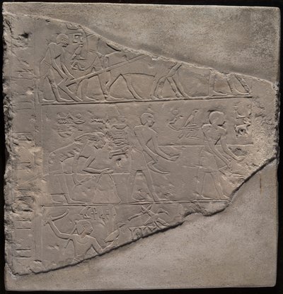 Szántást, aratást és baromfihajtást ábrázoló sztélé töredéke alkotó: Ancient Egyptian