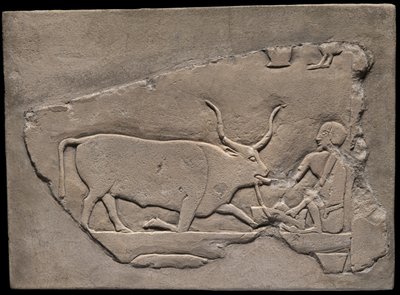 Egy pásztort ábrázoló falmaradvány egy sírból alkotó: Ancient Egyptian