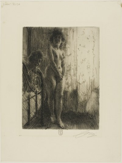 Egy sötét sarok alkotó: Anders Leonard Zorn