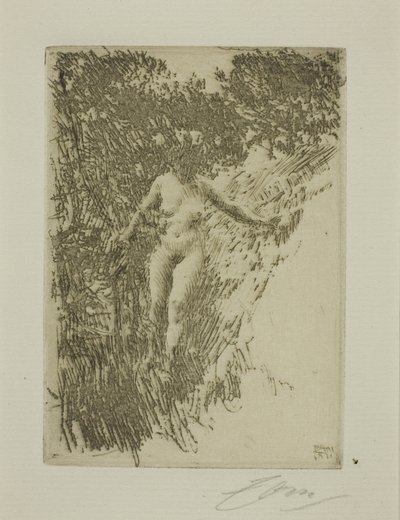 Bozót alkotó: Anders Leonard Zorn