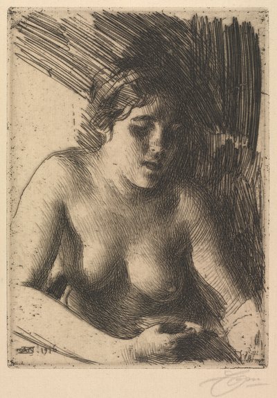 Mellbőség alkotó: Anders Leonard Zorn