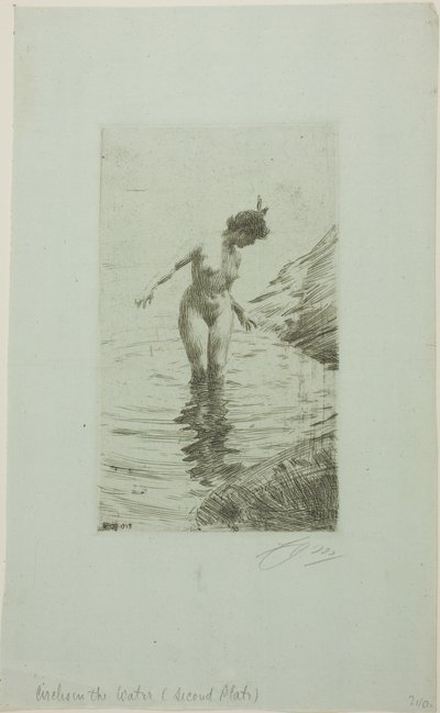 Vízkörök II alkotó: Anders Zorn