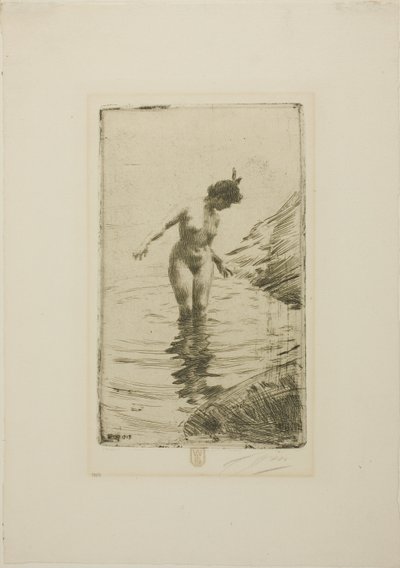 Vízkörök II alkotó: Anders Zorn