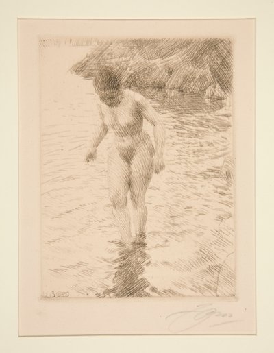 dollárt alkotó: Anders Leonard Zorn