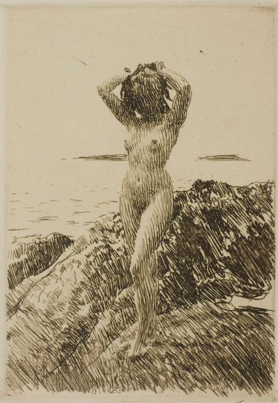 Hårtång (tengeri alga koszorú) alkotó: Anders Zorn