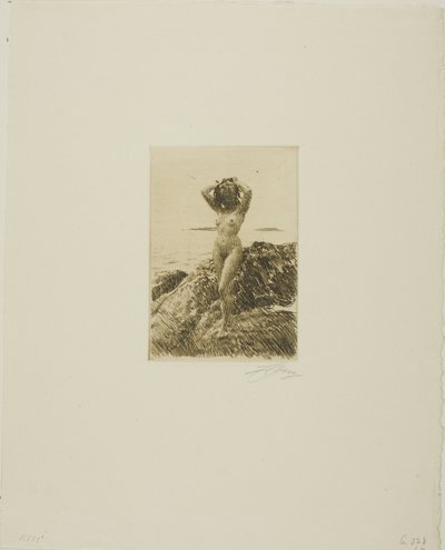 Hårtång (tengerifa koszorú) alkotó: Anders Leonard Zorn