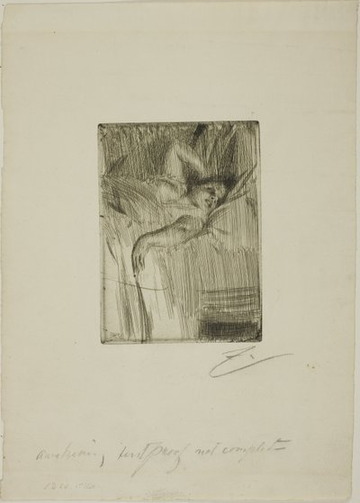 A riasztó alkotó: Anders Leonard Zorn