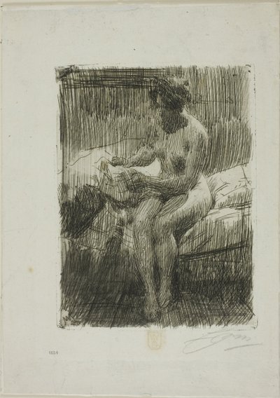Modellolvasás alkotó: Anders Leonard Zorn