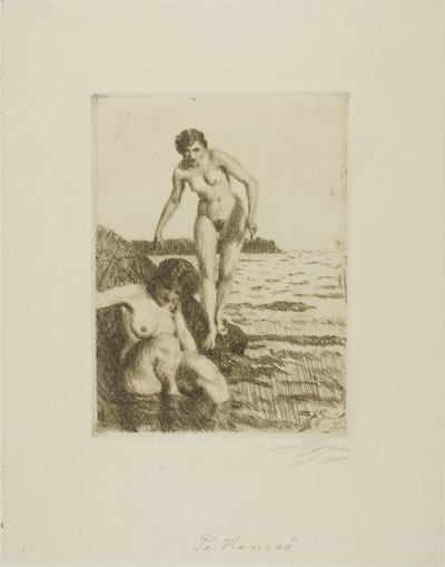 Hemsö szigetén alkotó: Anders Leonard Zorn
