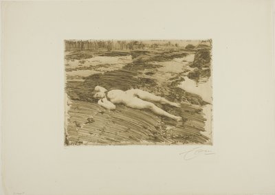 A homokon alkotó: Anders Leonard Zorn