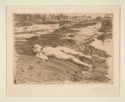 A homokon alkotó: Anders Leonard Zorn