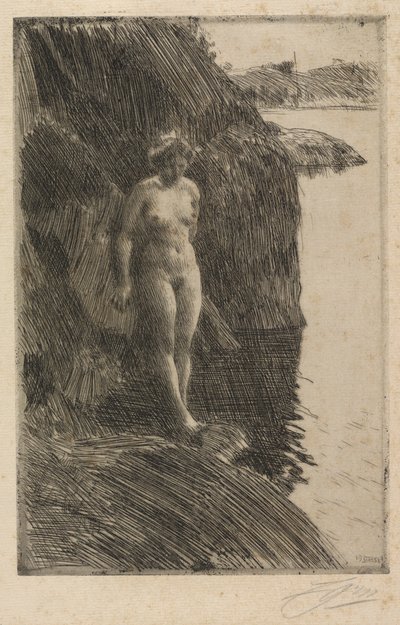 Szakadék alkotó: Anders Zorn