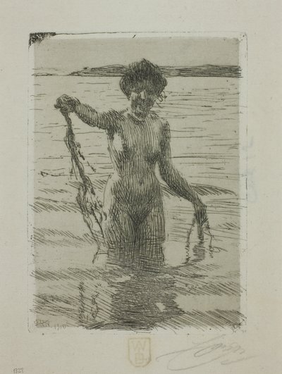 Hínár alkotó: Anders Leonard Zorn