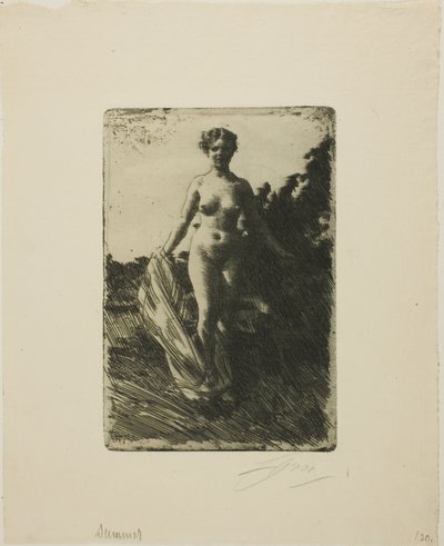 Nyár alkotó: Anders Leonard Zorn