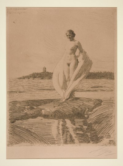 A hattyú alkotó: Anders Leonard Zorn