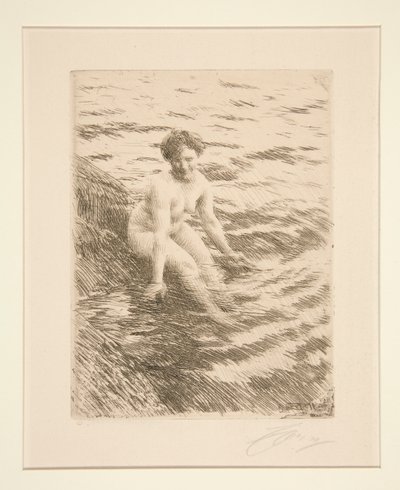 Nedves alkotó: Anders Leonard Zorn