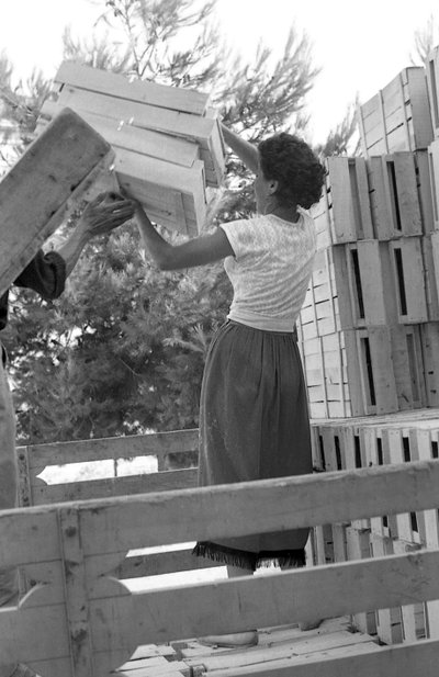 KESERŰ SZŐLŐ - A NAP KEZDETE alkotó: Ando Gilardi