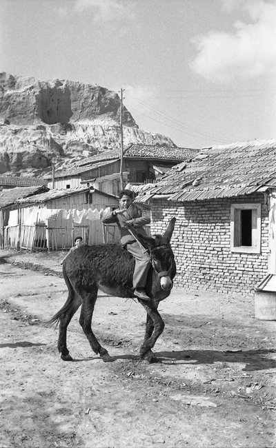 CROTONE - FIATAL ÖSZVÉRHAJTÓ alkotó: Ando Gilardi