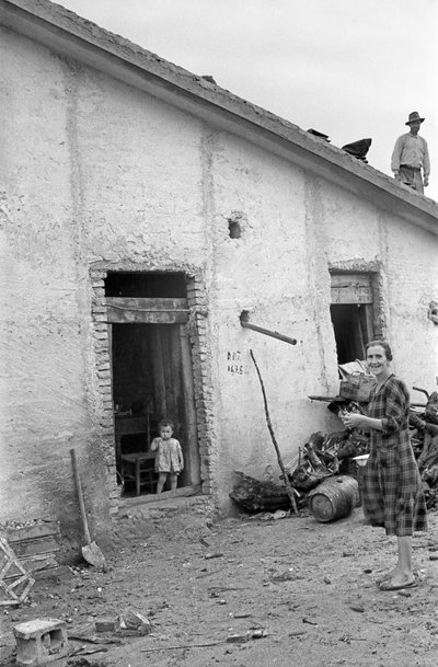 CROTONE VIDÉK - VÉGRE A TETŐ! alkotó: Ando Gilardi