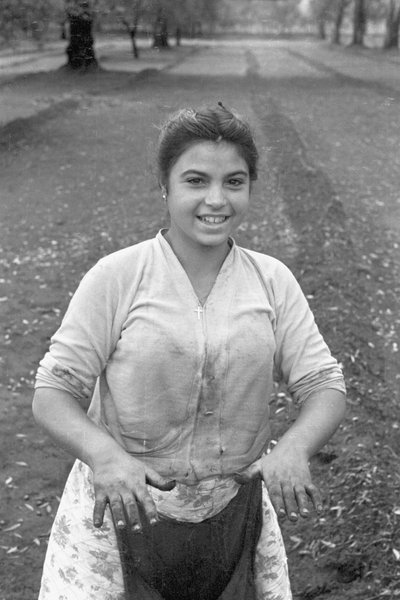 FIATAL OLAJBOGYÓ SZEDŐ alkotó: Ando Gilardi