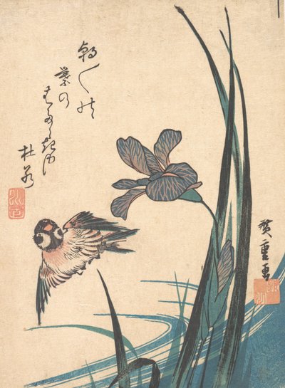 Iris és Sparrow, kb. 1832., kb. 1832. alkotó: Ando Hiroshige