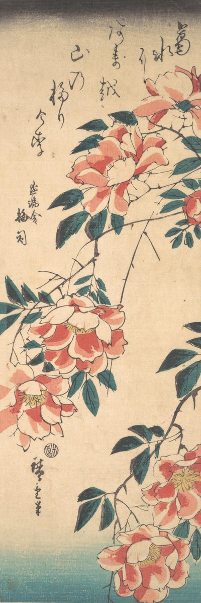 Rózsa, kb. 1843., kb. 1843. alkotó: Ando Hiroshige