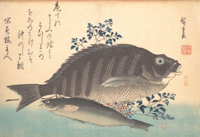 Shimadai és Ainame Fish, az Uozukushi Every Variety of Fish sorozatból, 1840-es, 1840-es évek. alkotó: Ando Hiroshige