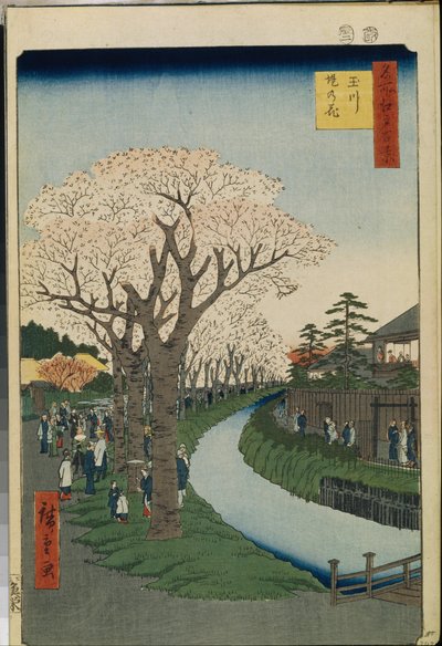 Cent vues celebes d"Edo: Cseresznyevirágok a Tama folyó partján alkotó: Ando or Utagawa Hiroshige
