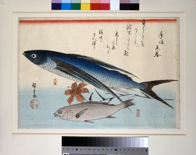Repülő hal, ishimochi hal és liliom alkotó: Ando or Utagawa Hiroshige