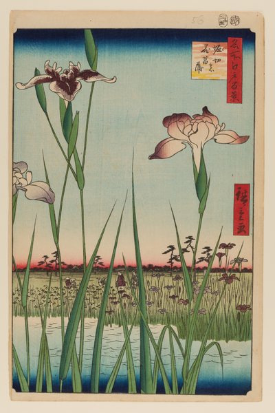 Horikiri íriszkert (Horikiri no Hanashobu) alkotó: Ando or Utagawa Hiroshige