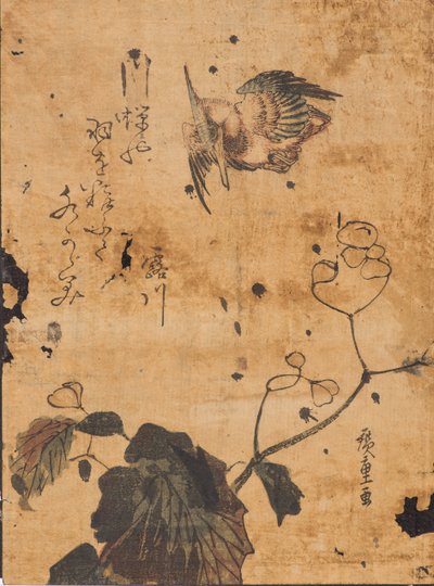Madarak és növények tanulmányozása alkotó: Ando or Utagawa Hiroshige
