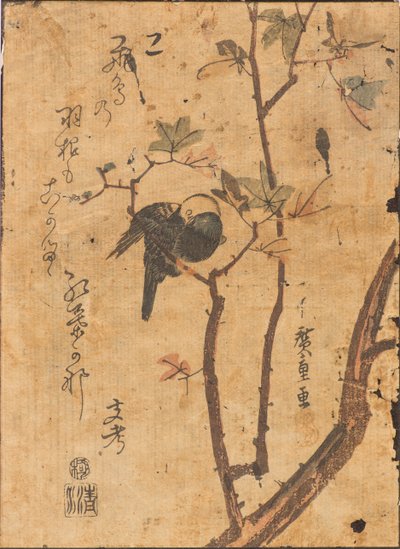 Az ágon alvó madár tanulmányozása alkotó: Ando or Utagawa Hiroshige