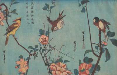 Cincér és kaméliák, veréb és vadrózsák, feketenyakú oriol és cseresznyevirágok, 1833 körül (fametszet) alkotó: Ando or Utagawa Hiroshige