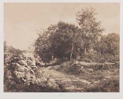 Cím nélküli Fontainbleau jelenete, c. 1853. alkotó: André Giroux