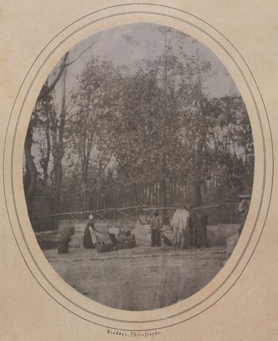 Village Scene (Dél-Franciaország) alkotó: Andre Adolphe Eugene Disderi