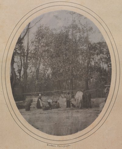 Falusi jelenet Dél-Franciaország, kb. 1853. alkotó: Andre Adolphe Eugene Disderi